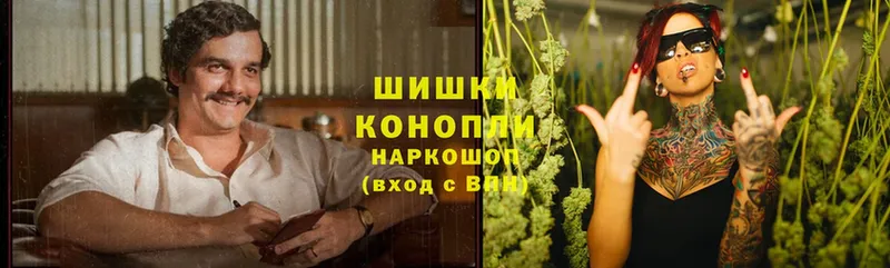 где купить наркотик  Городец  Шишки марихуана Ganja 